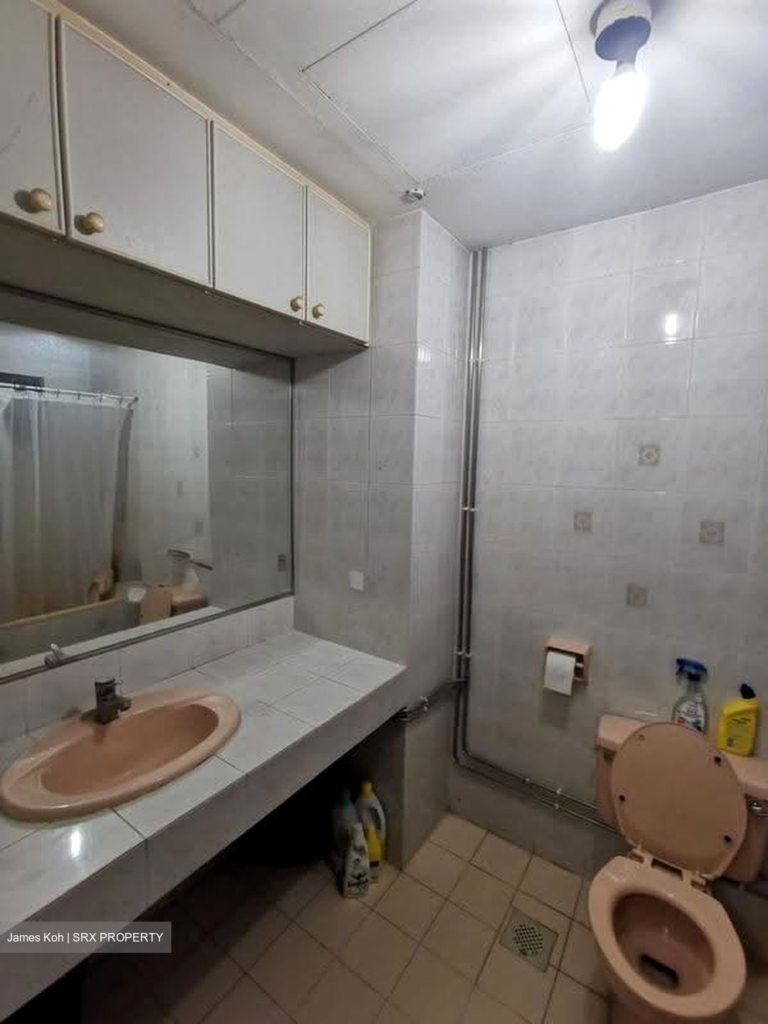 Balestier Regency (D12), Apartment #624141071